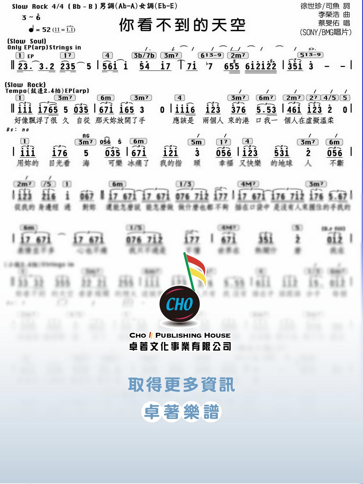 你看不到的天空